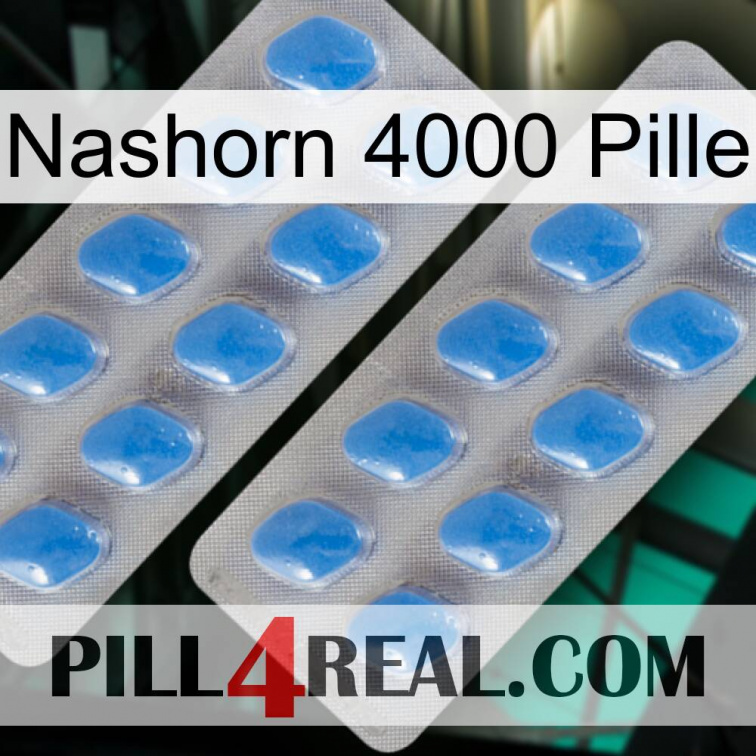 Rhino 4000 Pill 23